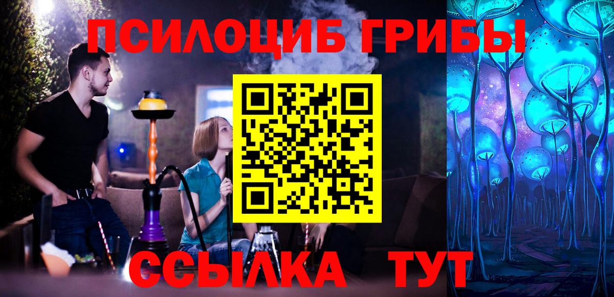 Галлюциногенные грибы мухоморы  Вход с VPN  Нурлат  где купить наркоту  Псилоцибиновые грибы MAGIC MUSHROOMS 